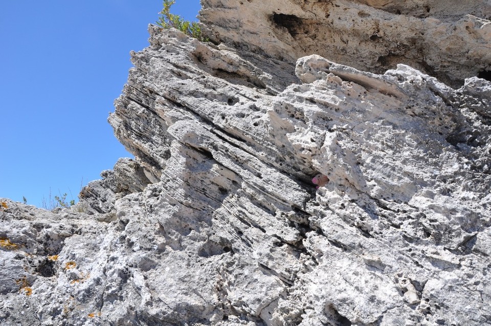 Australien - Rottnest Island - Hallöchen - hier bin ich
