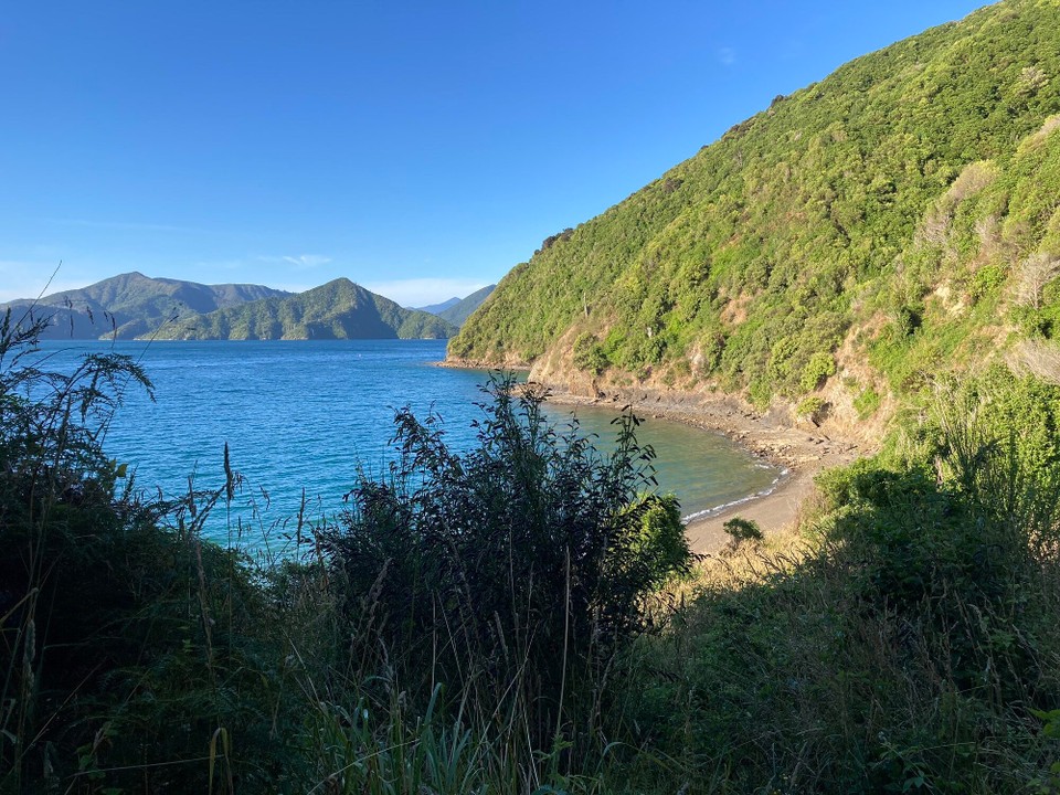 Neuseeland - Havelock - Und ein kleiner Abendspaziergang mit einem Strand fast allein für mich