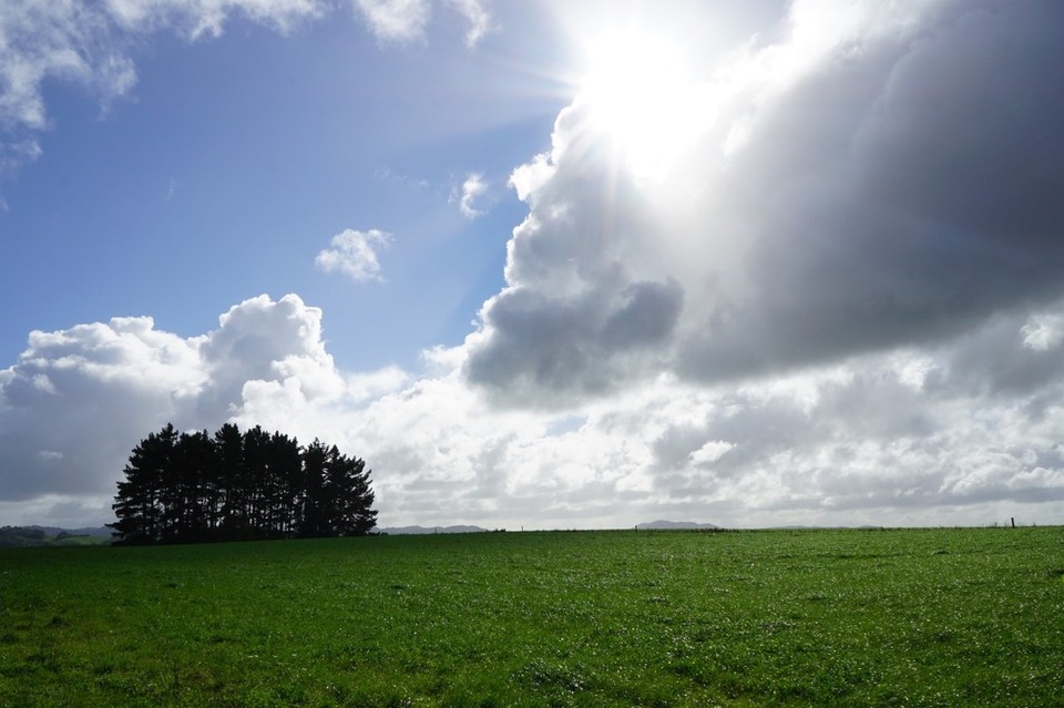 Neuseeland - Waitomo-Distrikt - 