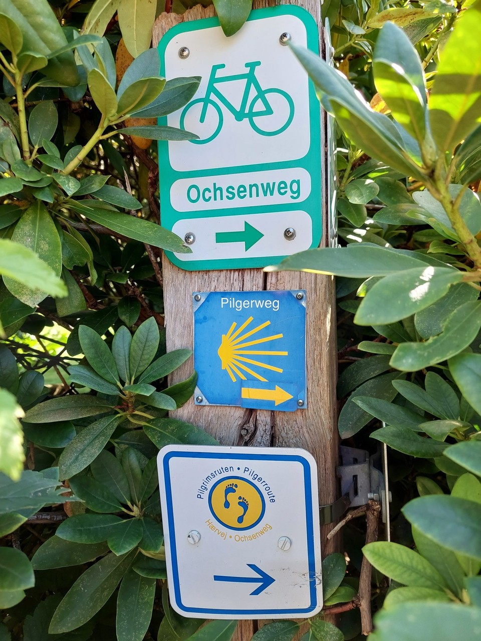 Deutschland - Jevenstedt - 