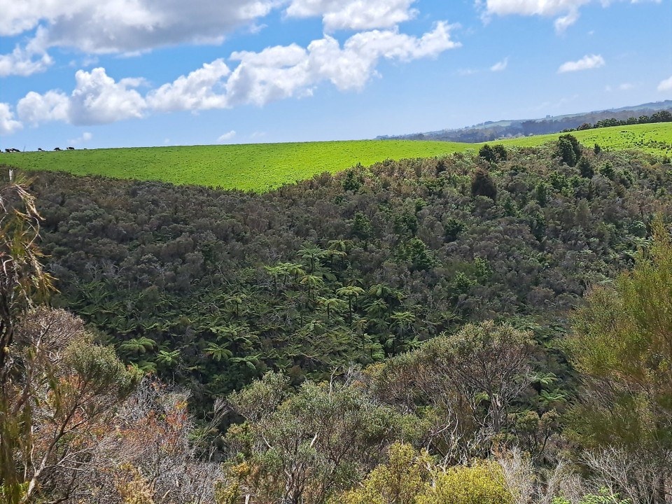 Neuseeland - Kerikeri - 