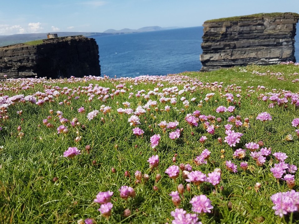Irland - Westport - 