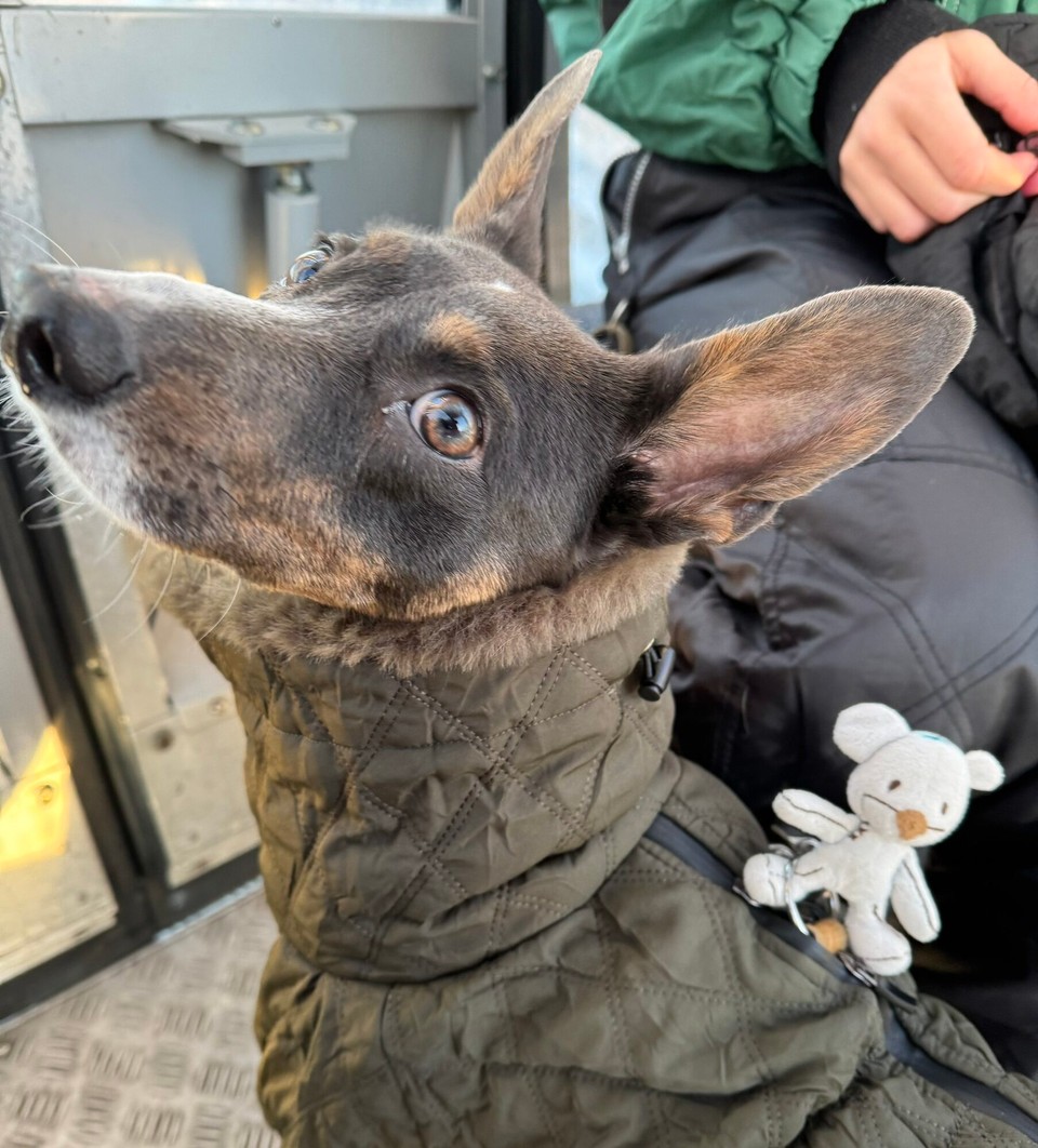 Norwegen - Øyer - Mmmhhhh… das erste Mal! 