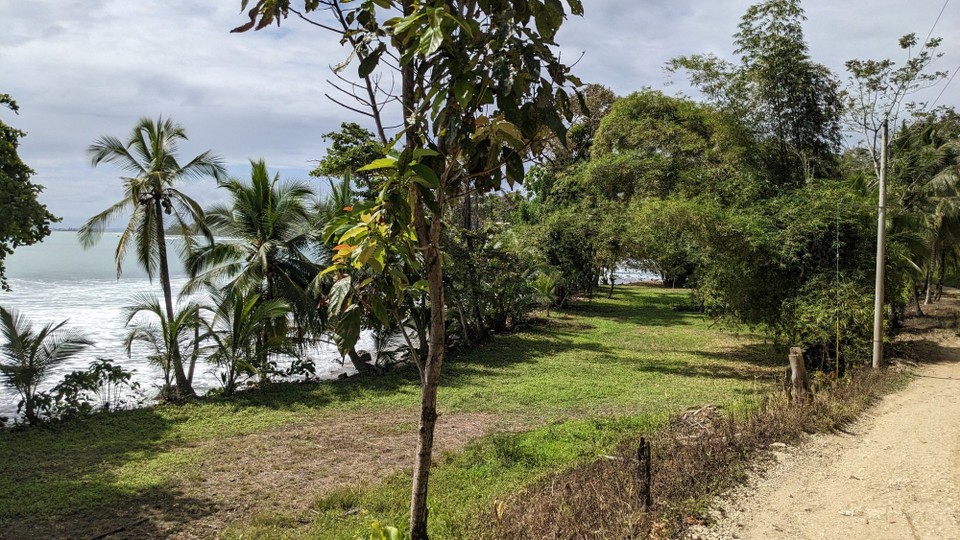 Panama - Playa Bluff - 