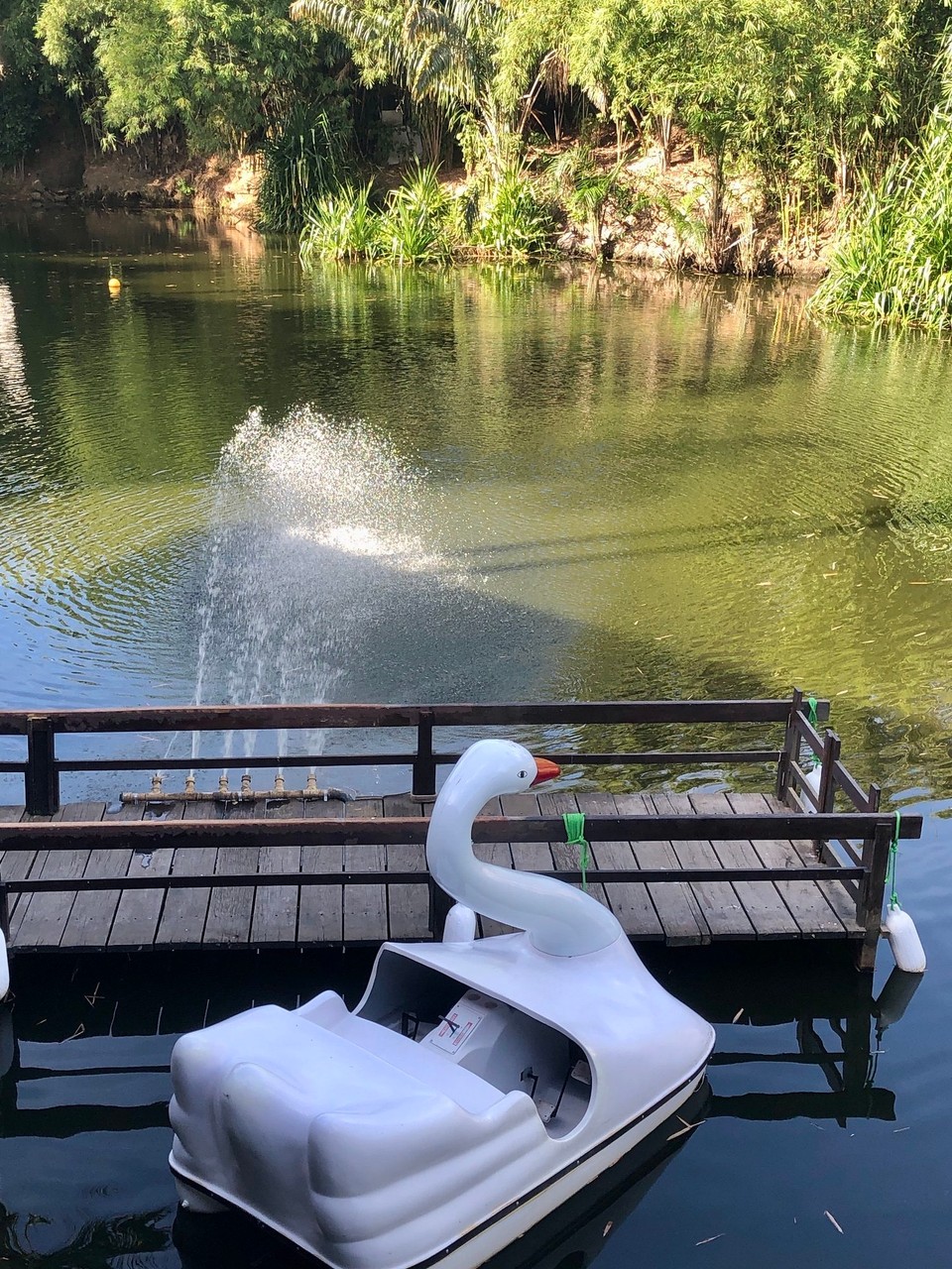Brasilien - Salvador - Fluss auf dem Gelände vom Hotel Delville