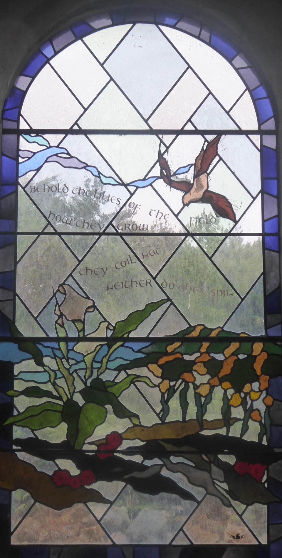 United Kingdom - Isles Of Scilly - Matthew 6:28-29. “Behold the lilies of the field how they grow. They toil not, neither do they spin…”
