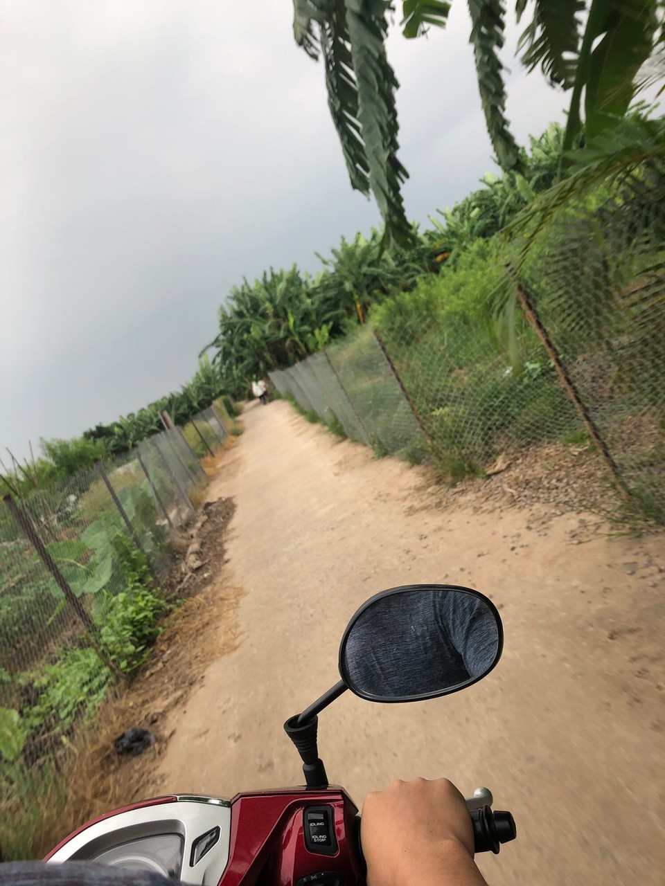 Vietnam - Hanoi - 