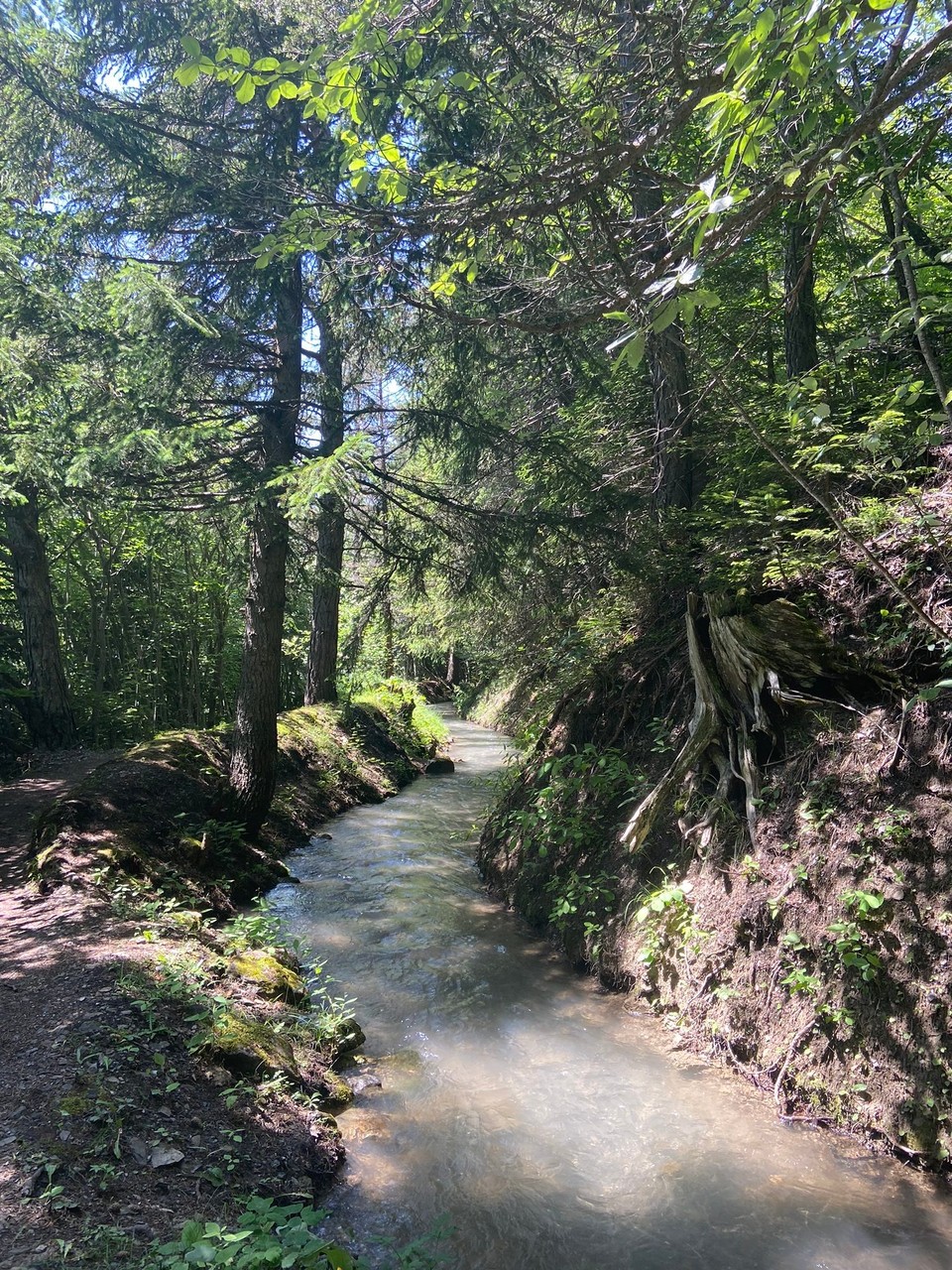 Schweiz - Anzère - 