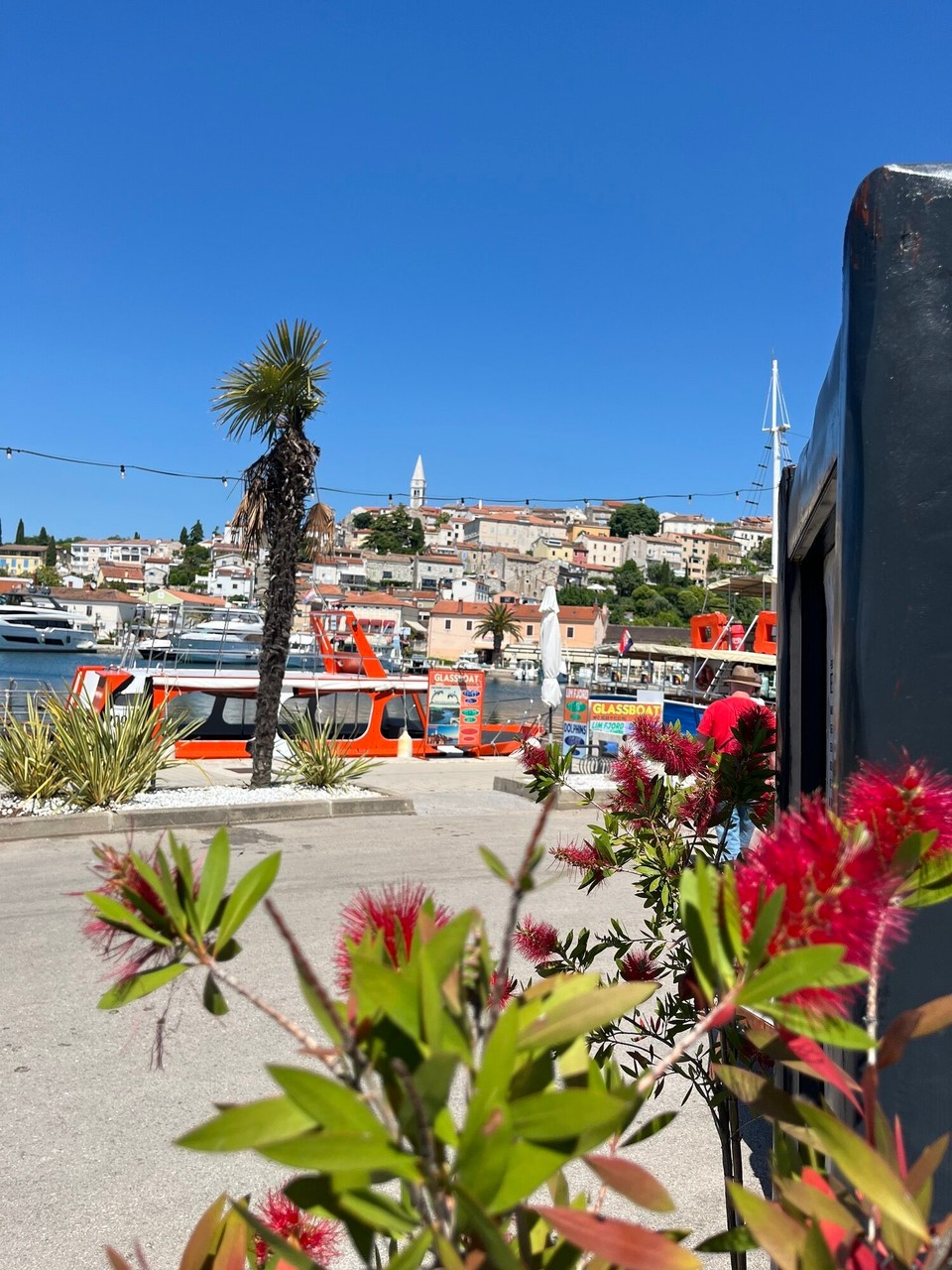 Kroatien - Vrsar - 