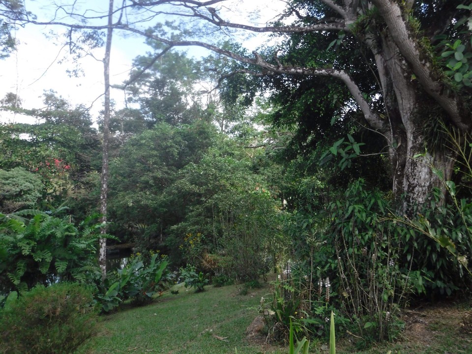 Costa Rica - Liberia - 