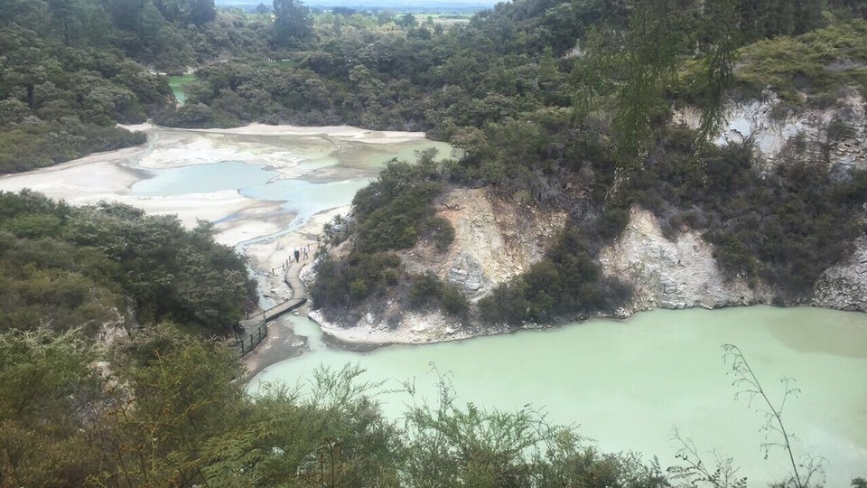 New Zealand - Waiotapu - 