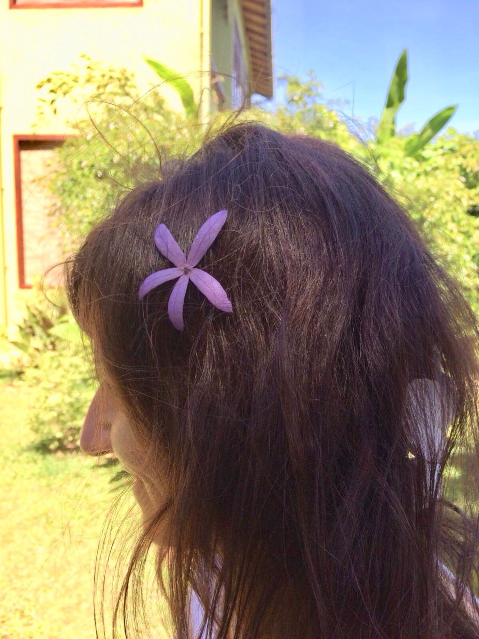Sri Lanka -  - Claudschi - hab an DICH gedacht ☺️ 🌸