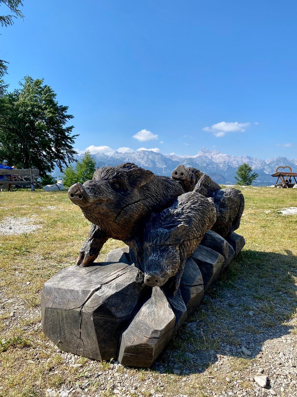 Slowenien - Bohinj - 