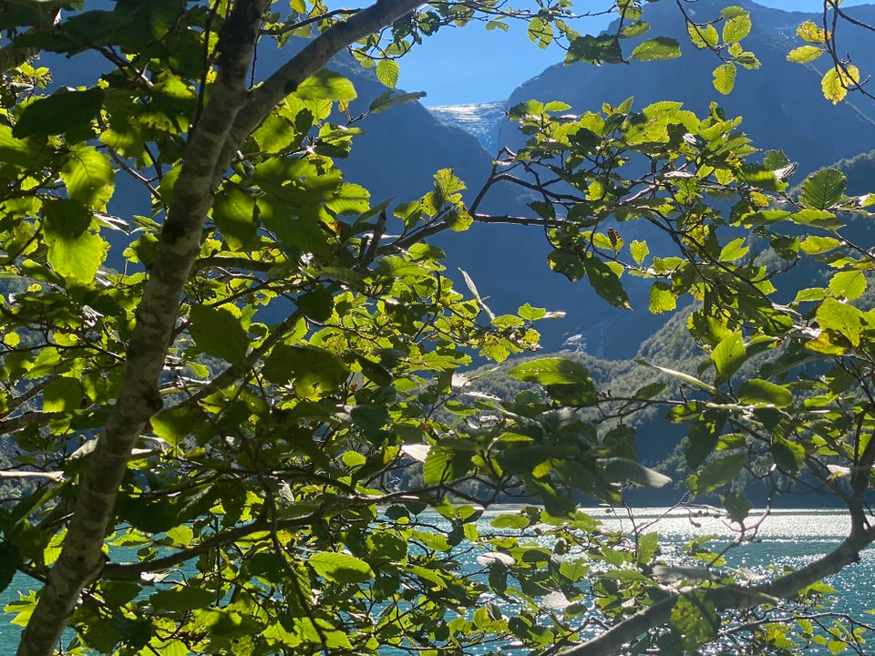 Norwegen - Mauranger - Auch der Gletscher ist sehr schmal. Auch ihn wird es wohl bald nicht mehr geben. Wir sind froh und dankbar noch einmal so nah einen gesehen zu haben. 
