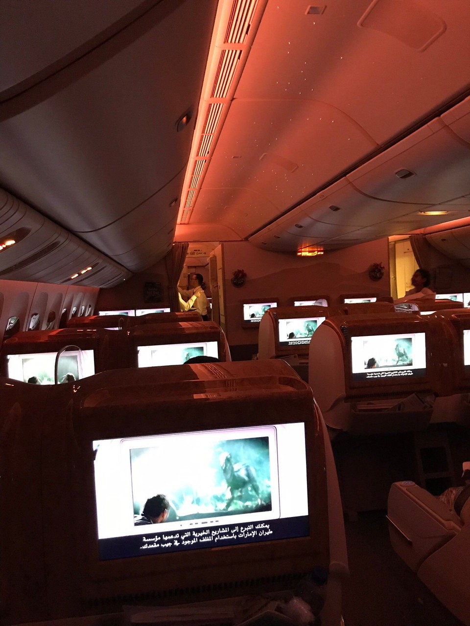 Vereinigte Arabische Emirate - Dubai - 