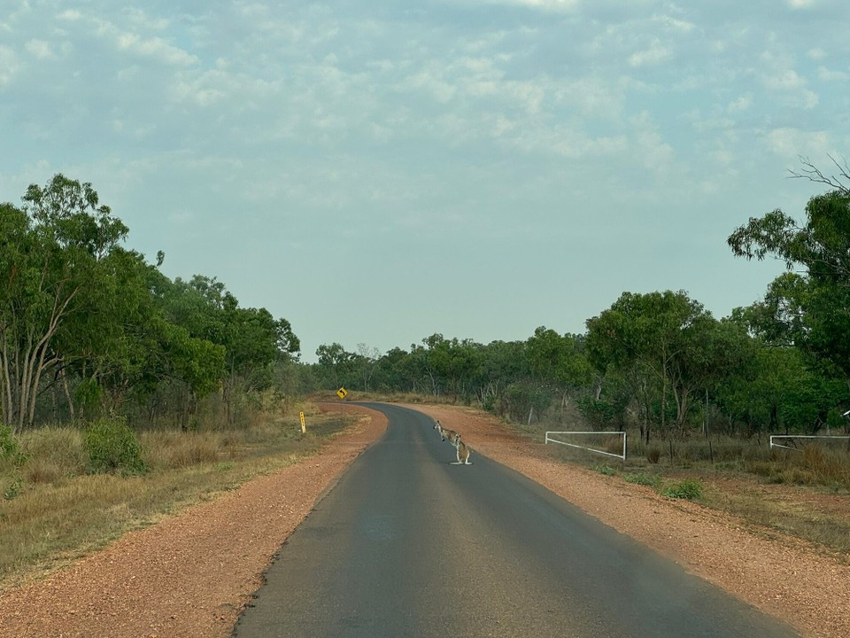 Australien - Limmen - Guata Morga :)
