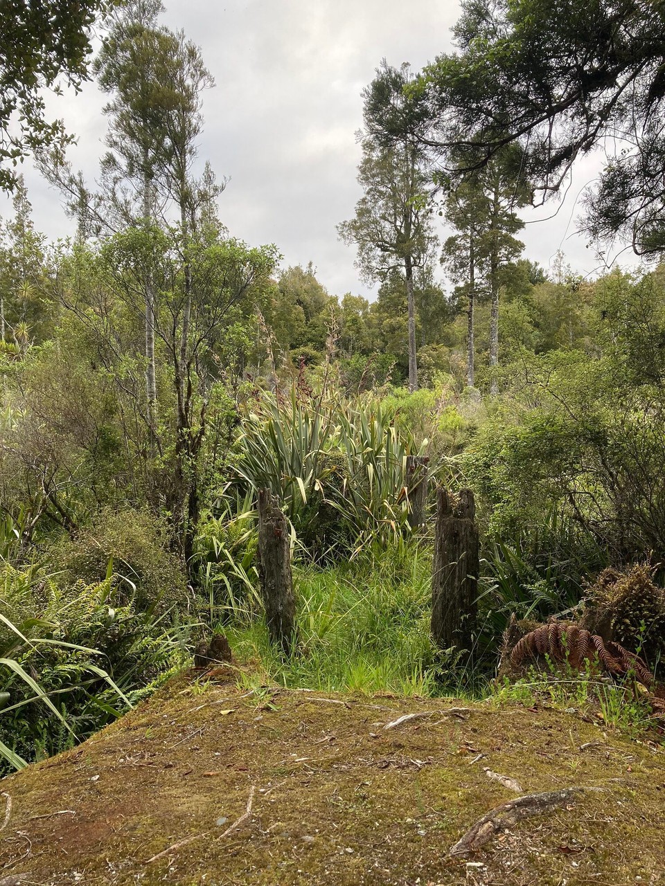 Neuseeland - Harihari - Da war mal eine Brücke 🤷🏻‍♀️