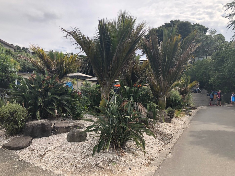 Neuseeland - Waihi Beach - Ankunft auf dem Campingplatz in Waihi Beach