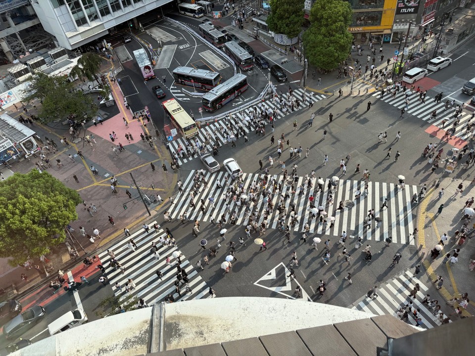 Japan - Chiyoda - Shibuja crossing