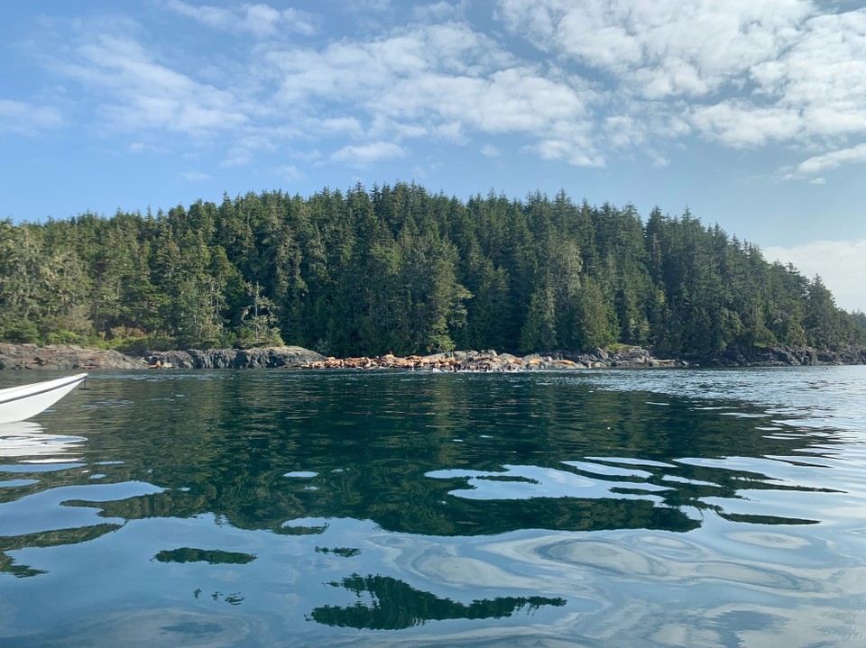 Kanada - Mount Waddington A - 