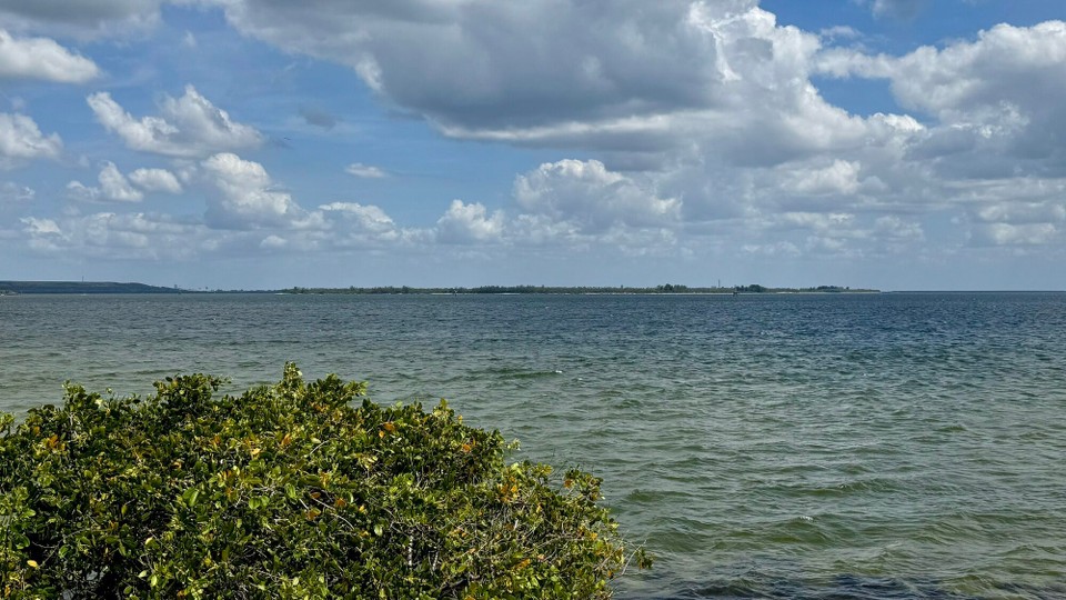 Vereinigte Staaten - Tampa - 