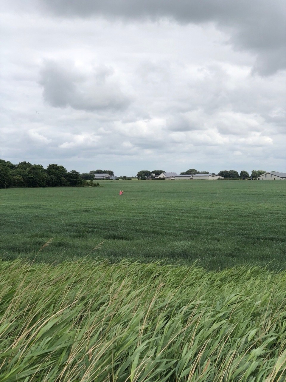 Deutschland - Dagebüll - Kannst du es erkennen?
Hier finden wir ein riesiges Feld, direkt neben einem Wohnhaus.
Und wenn man genau hinschaut, erkennt mein eine kleine Platikrutsche.

Ob die Eltern mal ab und zu ihr Kind zum rutschen schicken, in der Hoffnung auf eine kleine Pause und einem müde gelaufenen Kind.
😂