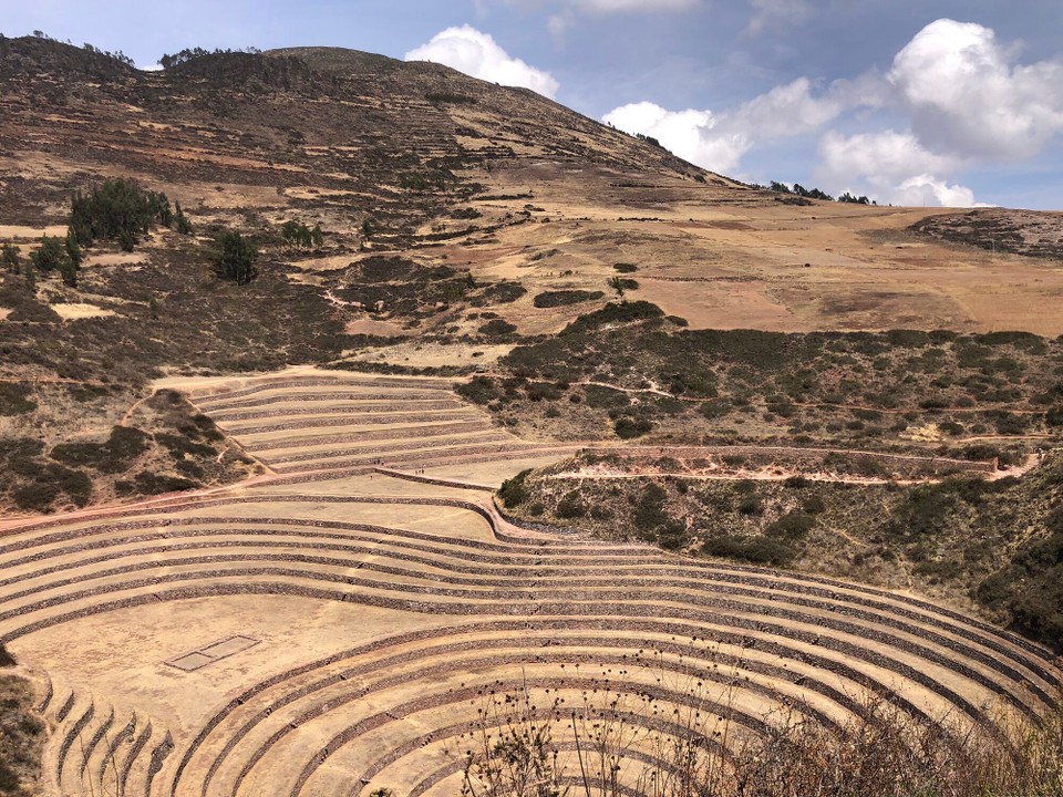 Peru -  - Moray