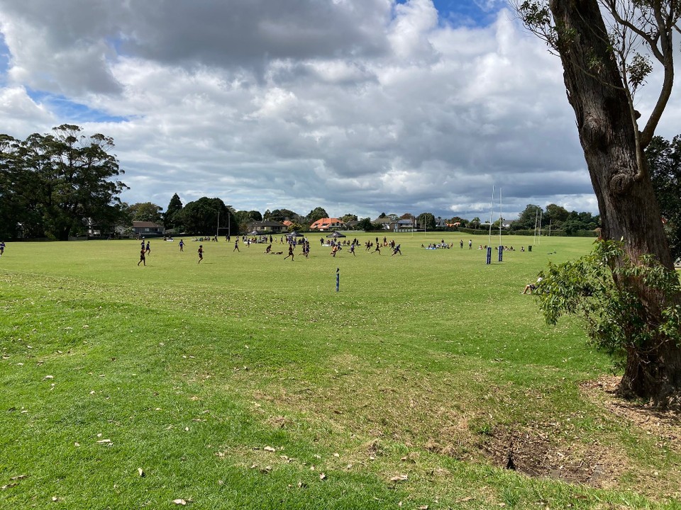 Neuseeland - Auckland - Rugbysonntag