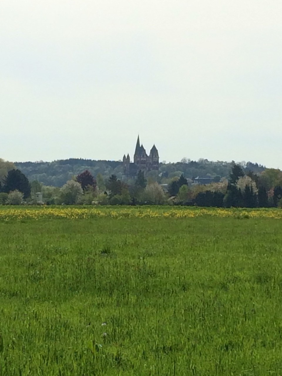 Deutschland - Limburg an der Lahn - Spaziergang in den Lahnwiesen mit Blick auf den Limburger Dom.