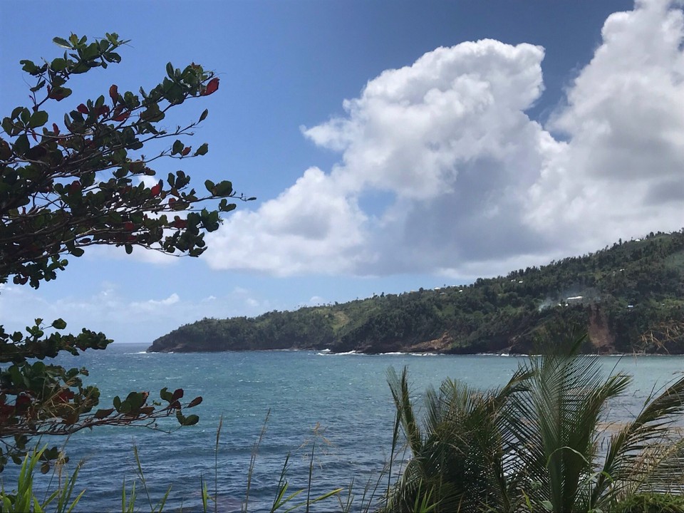 Dominica -  - 