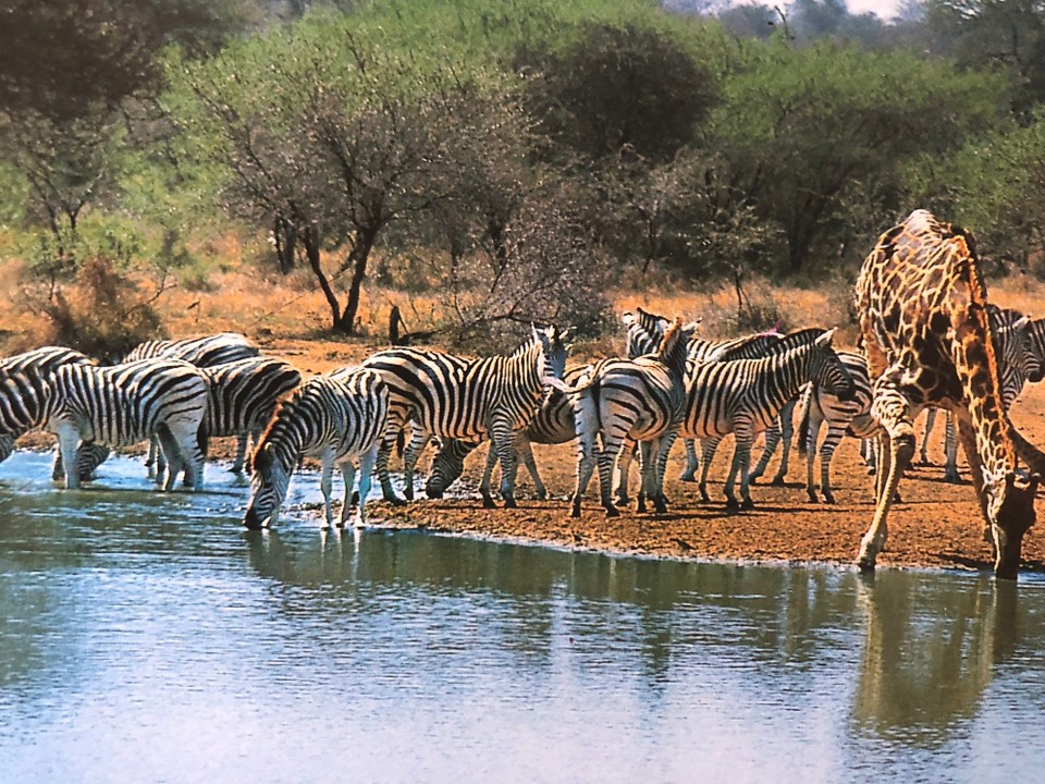Namibia - Windhuk - 