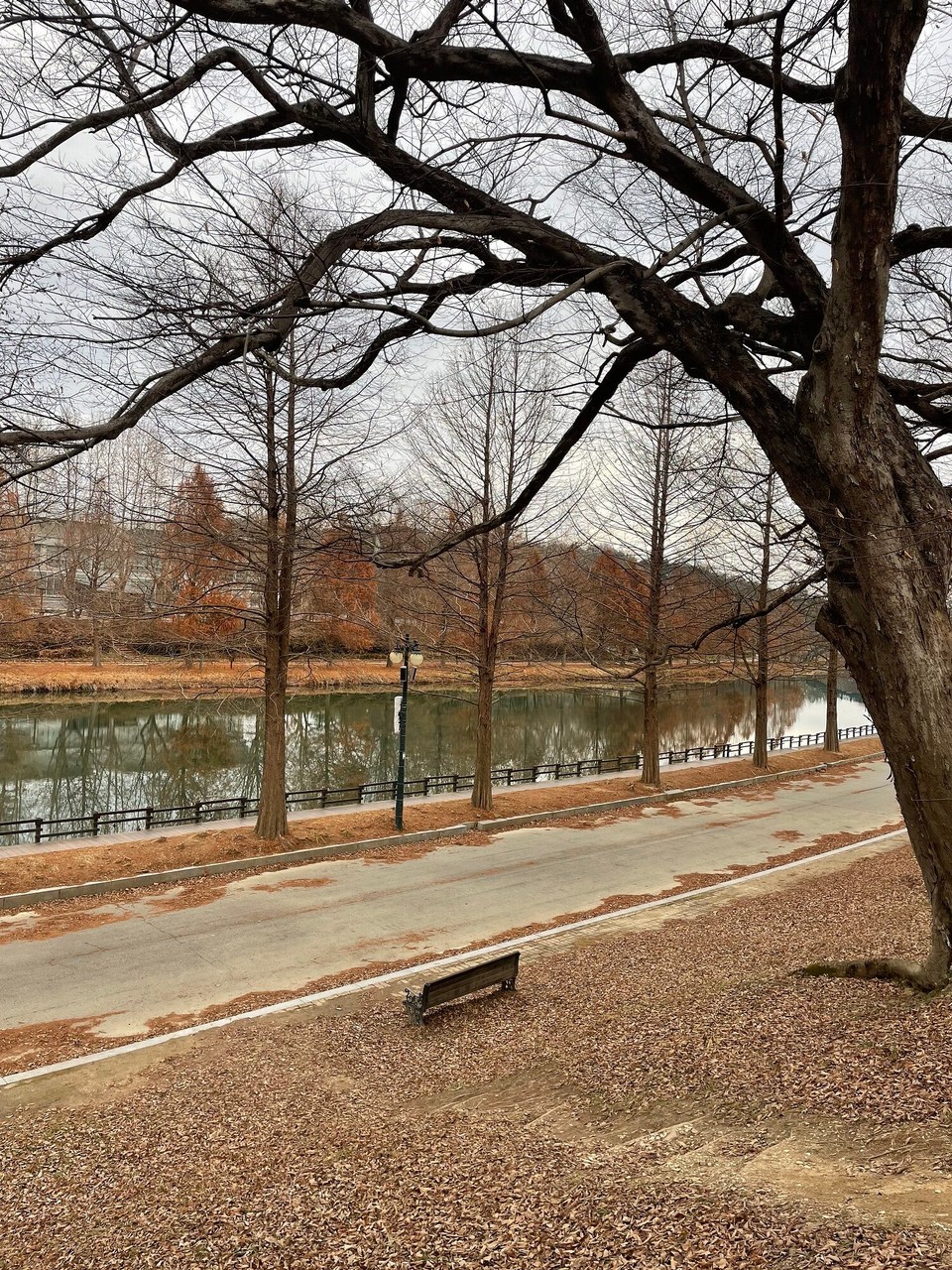 대한민국 -  - 