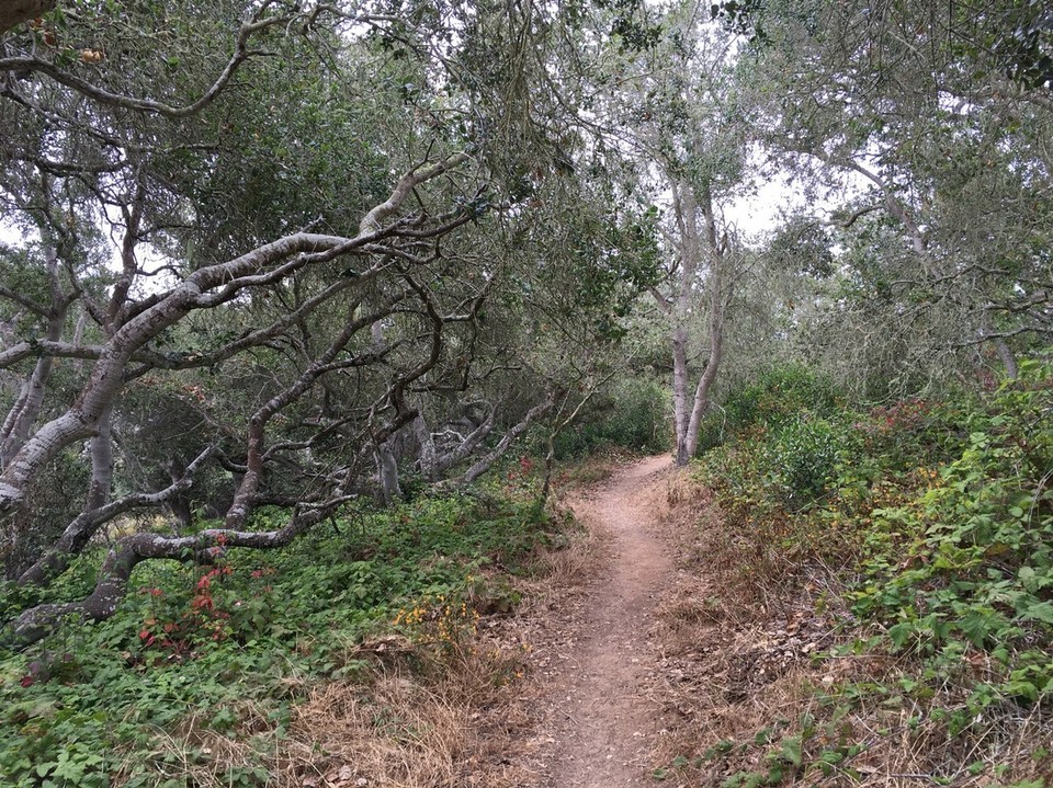 USA - San Luis Obispo - und so dazwischen