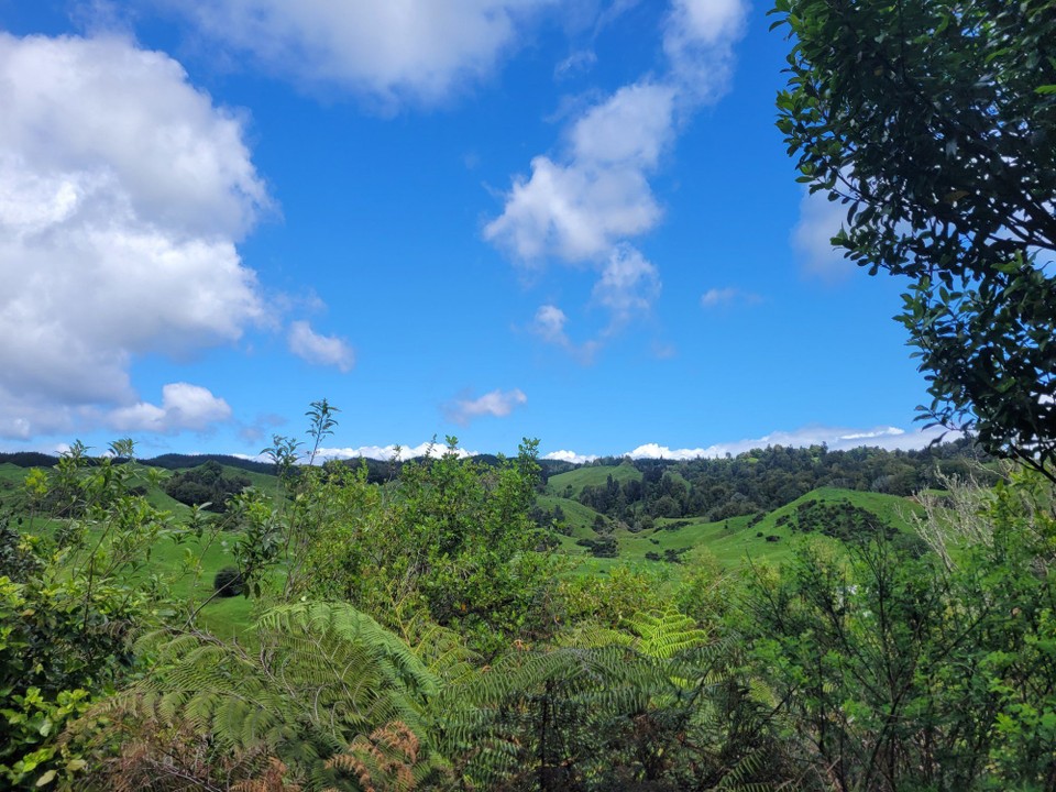 Neuseeland - Rotorua - 