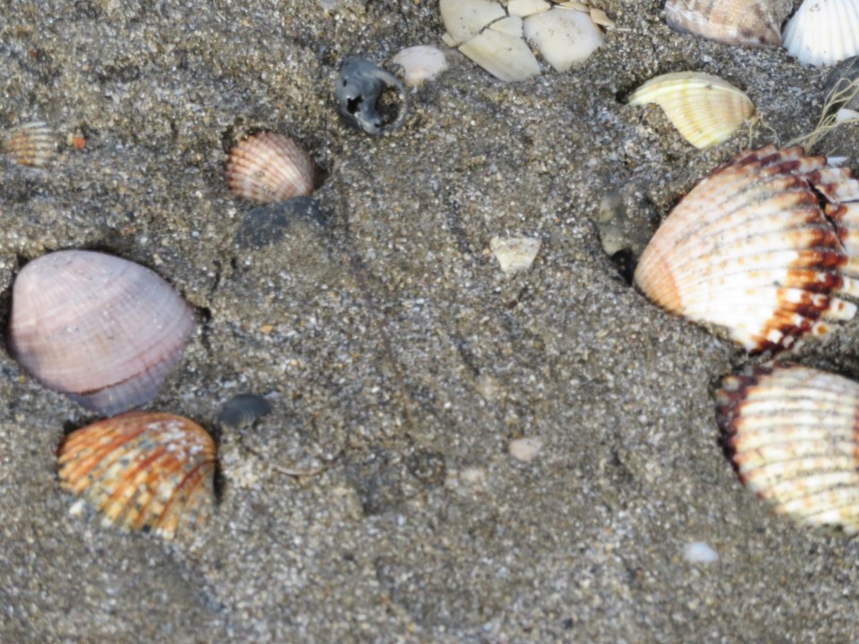 Italien - Lido di Venezia - 