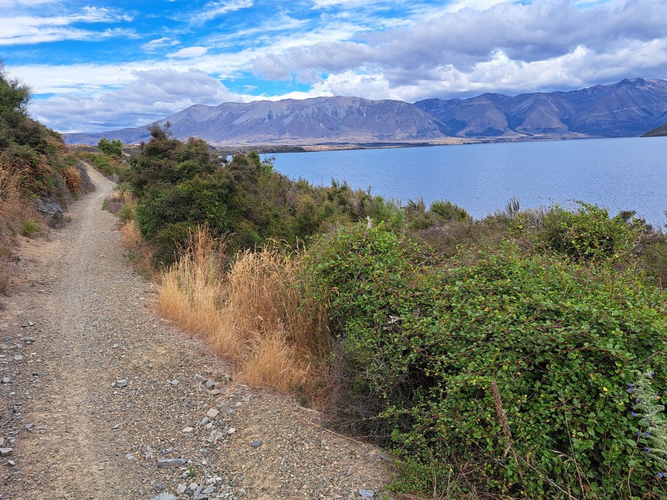 Neuseeland - Lake Ohau - Dem Ohau Lake entlang war es sehr schön zu fahren 🚲