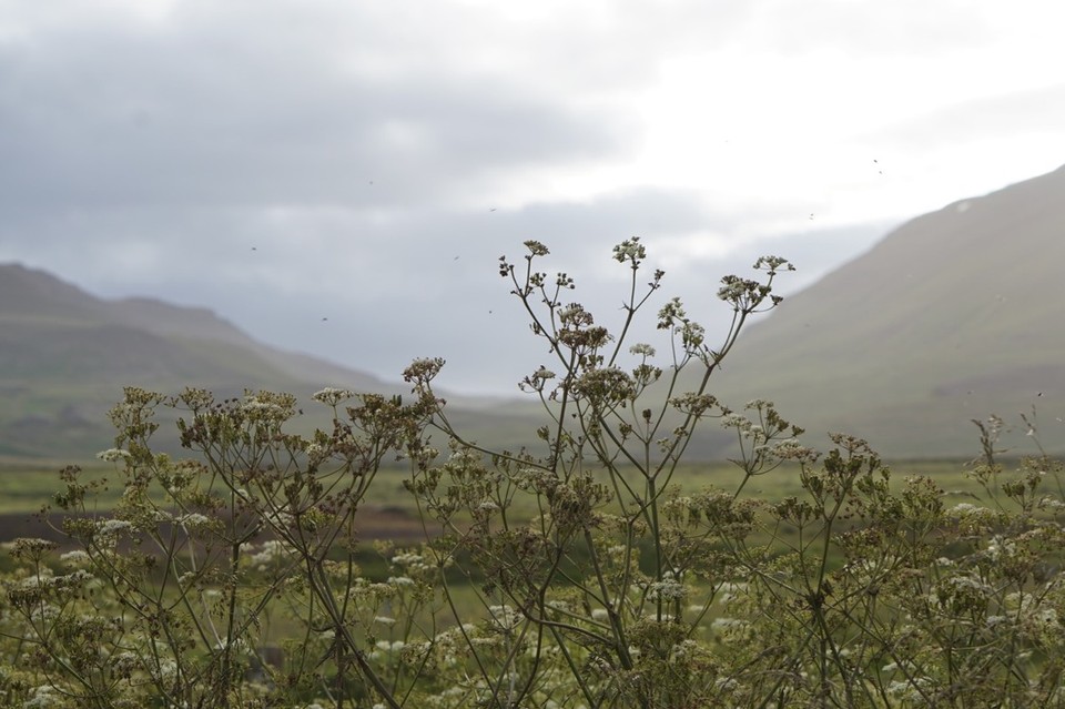 Island - Akureyri - 