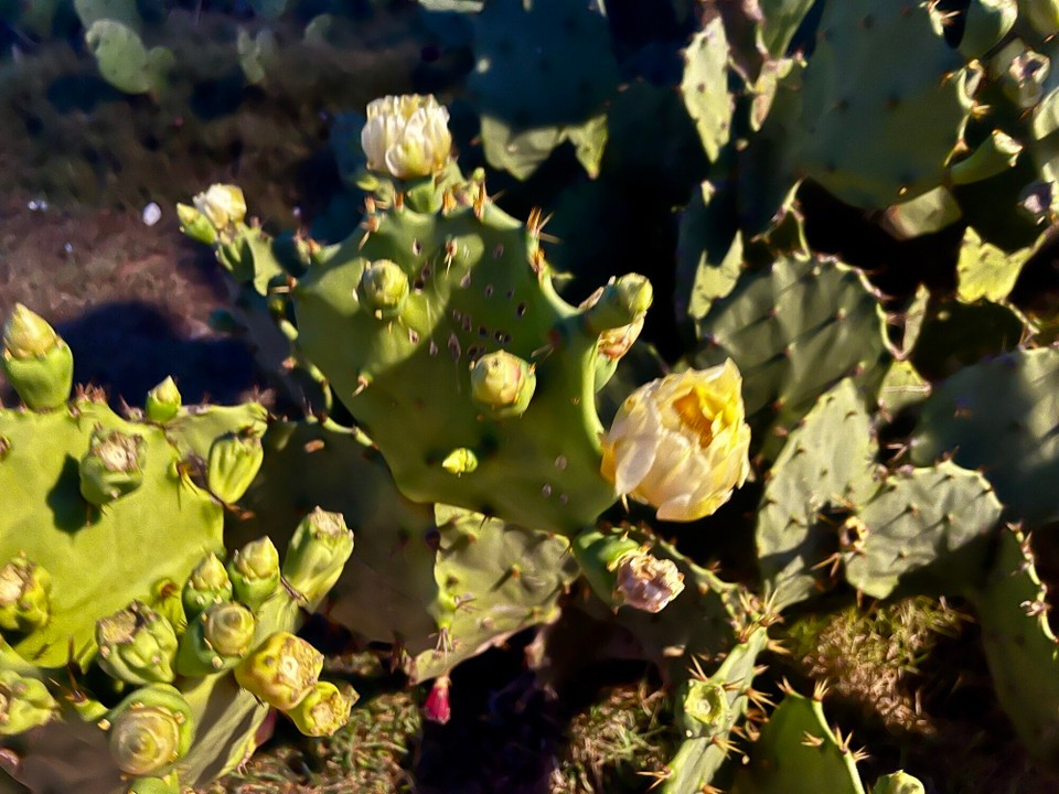 Brasilien - Salvador - 