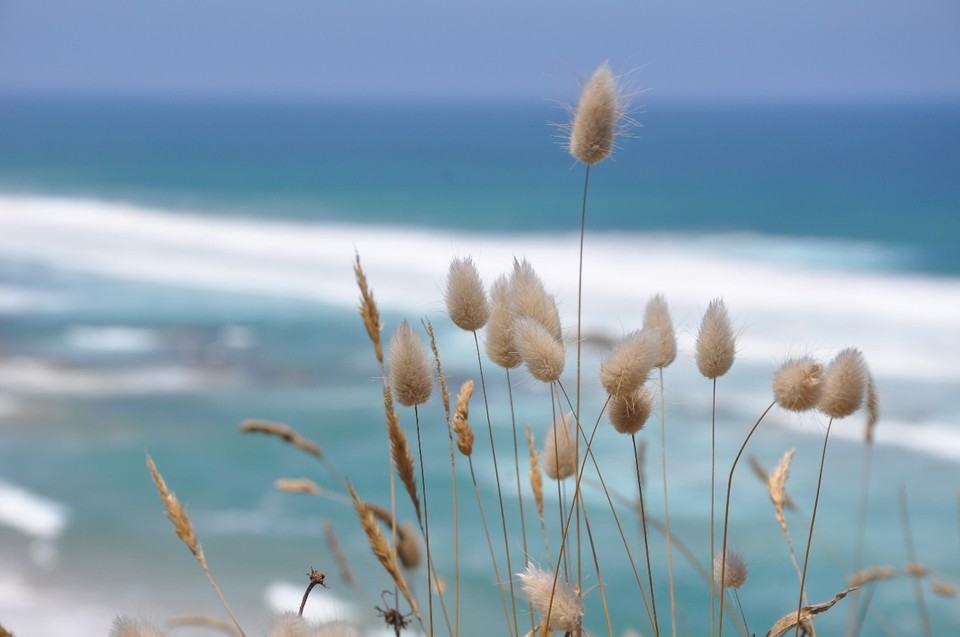 Australien - Warrnambool - 