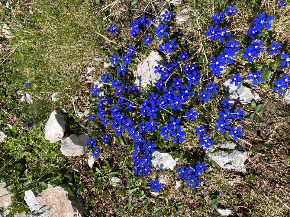 Italien - Longarone - 