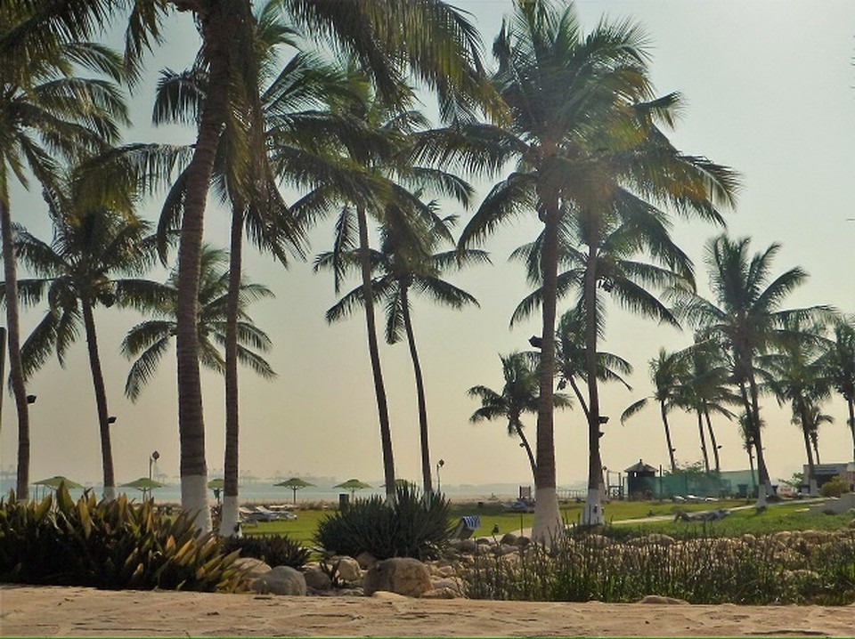  - Oman, Salalah - 