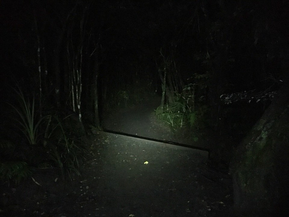 Neuseeland -  - Nächster Morgen: 3.30 Uhr starten wir das Tongariro „Crossing“, nicht von dem empfohlenen Ausgangspunkt Mangatepopo Valley, sondern vom Ketetahi Car Park aus. 