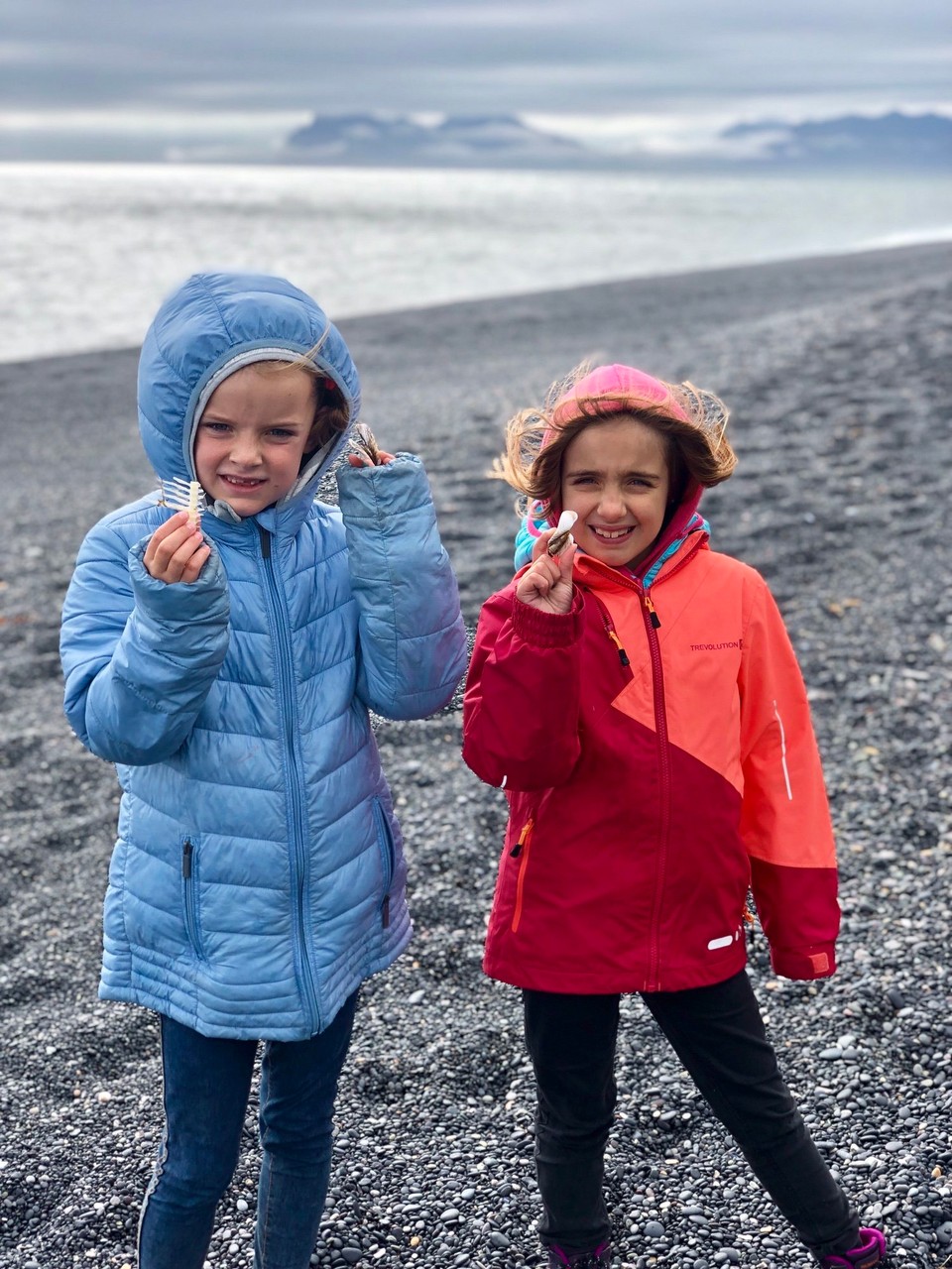 Island - Sveitarfélagið Hornafjörður - Dieser Strand hier ist eine echte Fundgrube... Muscheln, Krebsscheren und andere spannend aussehende Dinge lassen sich hier problemlos finden...