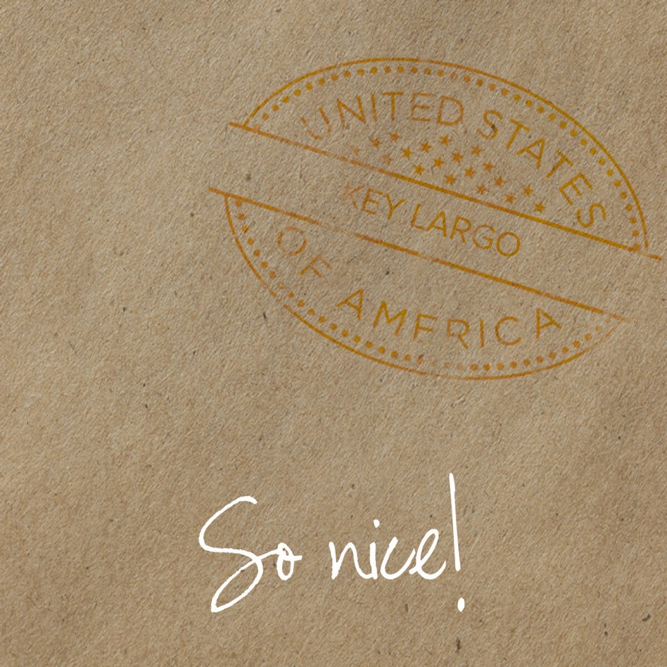 Vereinigte Staaten -  - 