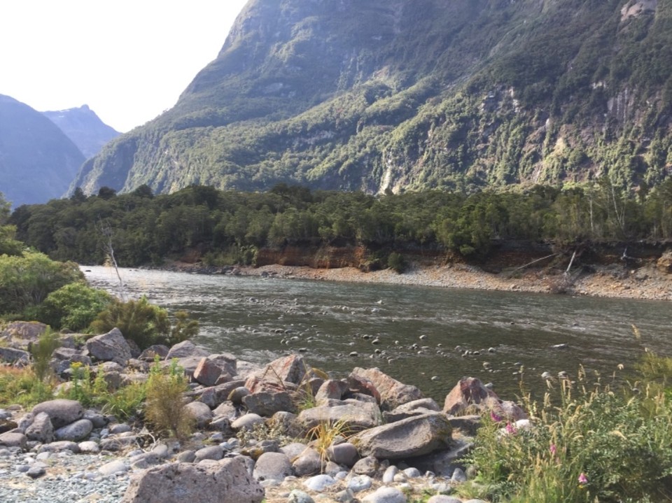 Neuseeland - Milford Sound - 