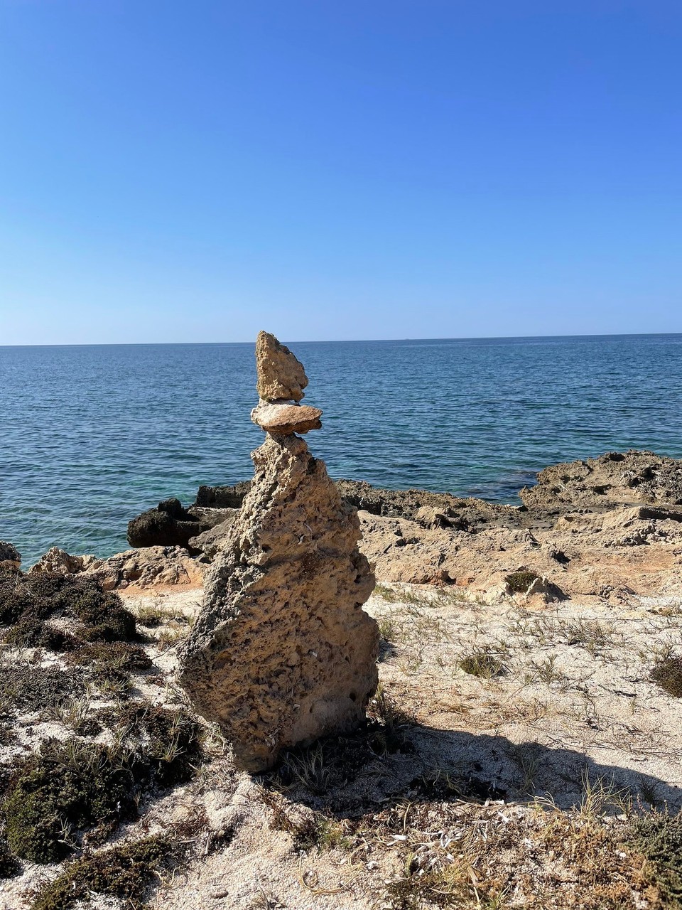 Italien - Cabras - 