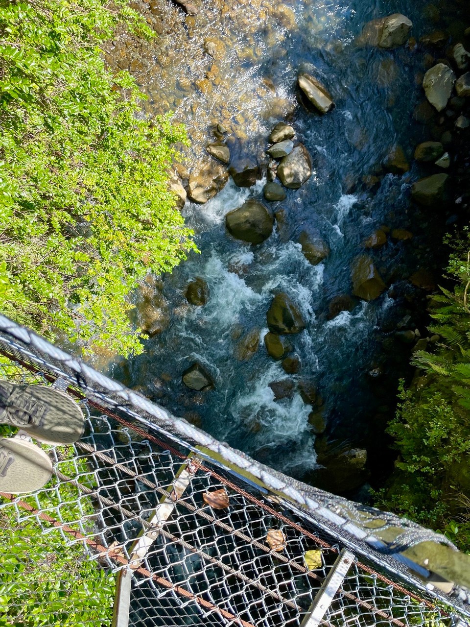 Neuseeland - Egmont National Park - 