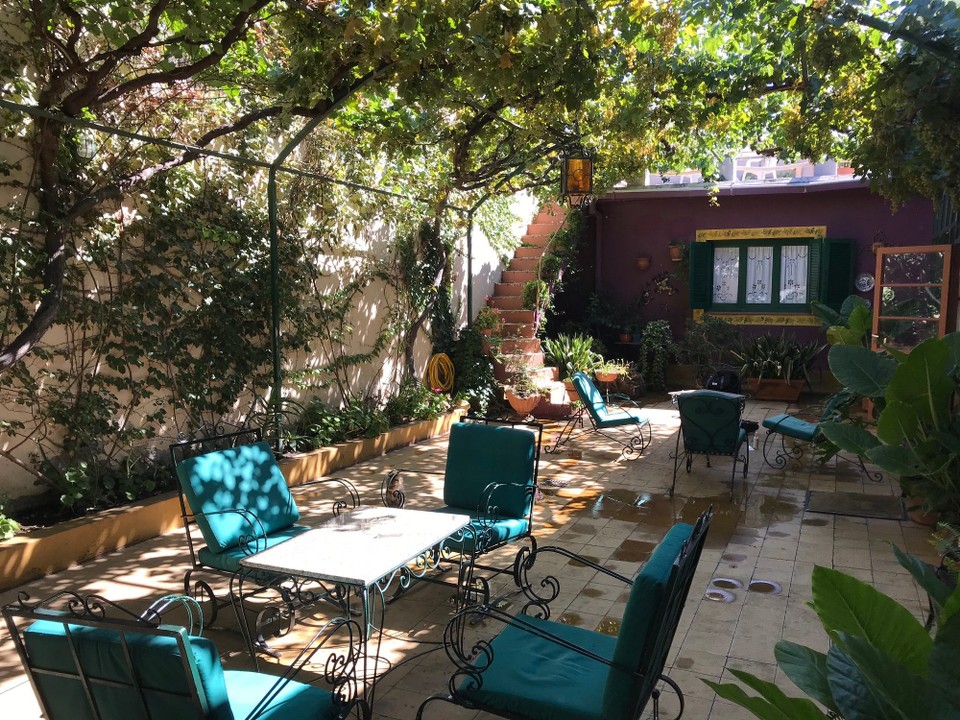 Argentinien - Mendoza - Unter Trauben sitzen in unserem Hostel