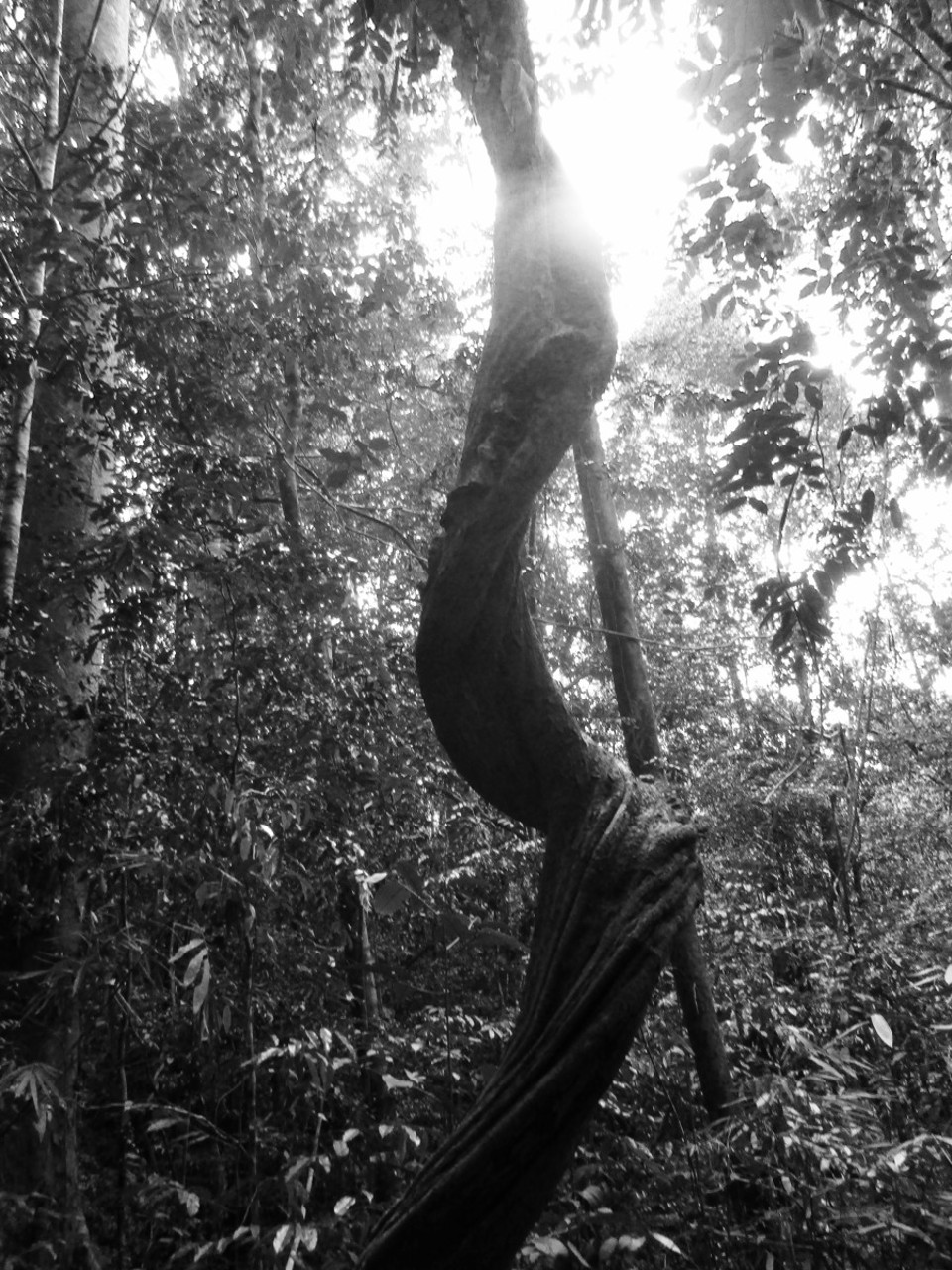 Sri Lanka - unbekannt - 