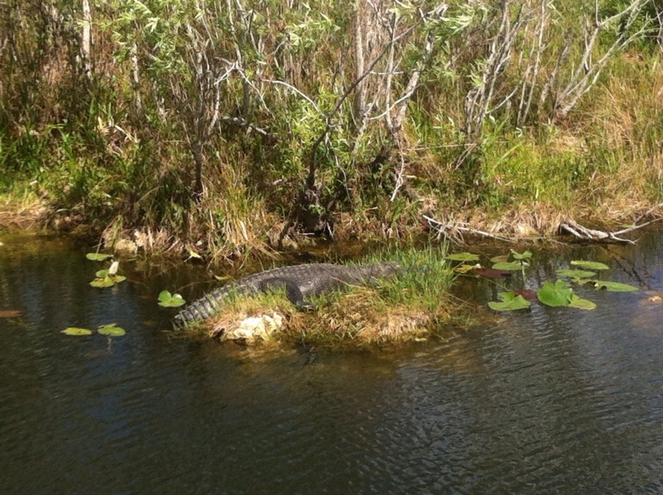 Egyesült Államok - Homestead - 